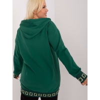 Plus size sweatshirt 197473 Relevance